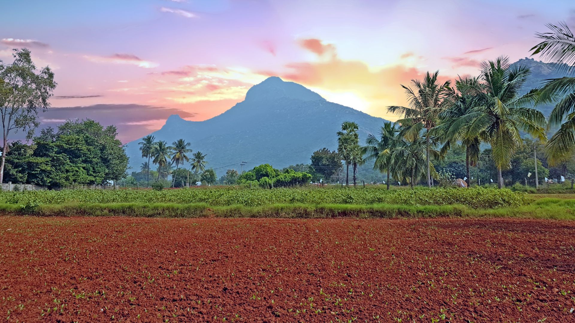 Arunachala